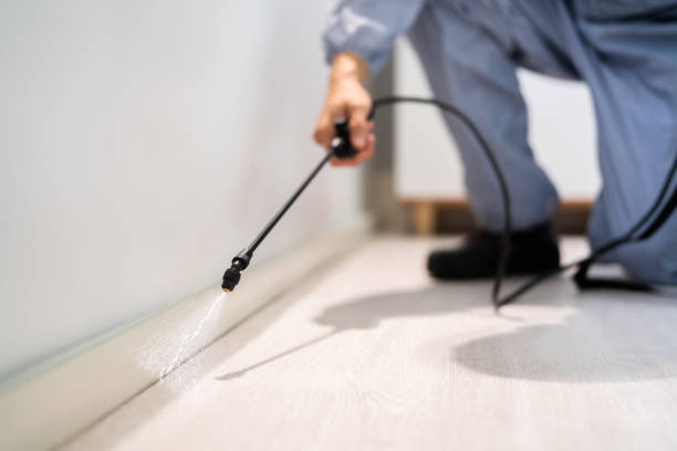 Licensed Pest Control service in University Heights, IA - Show Me Pest Control