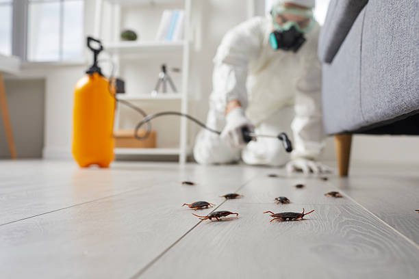 Commercial Kitchen Cockroach Control in University Heights